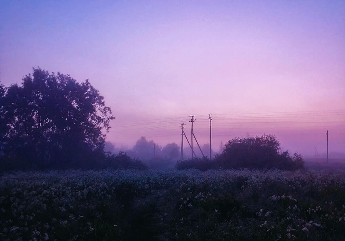 【直播】李九回复弹幕谁是KPL第一打野：钟意，我不怕被剪辑，毋庸置疑